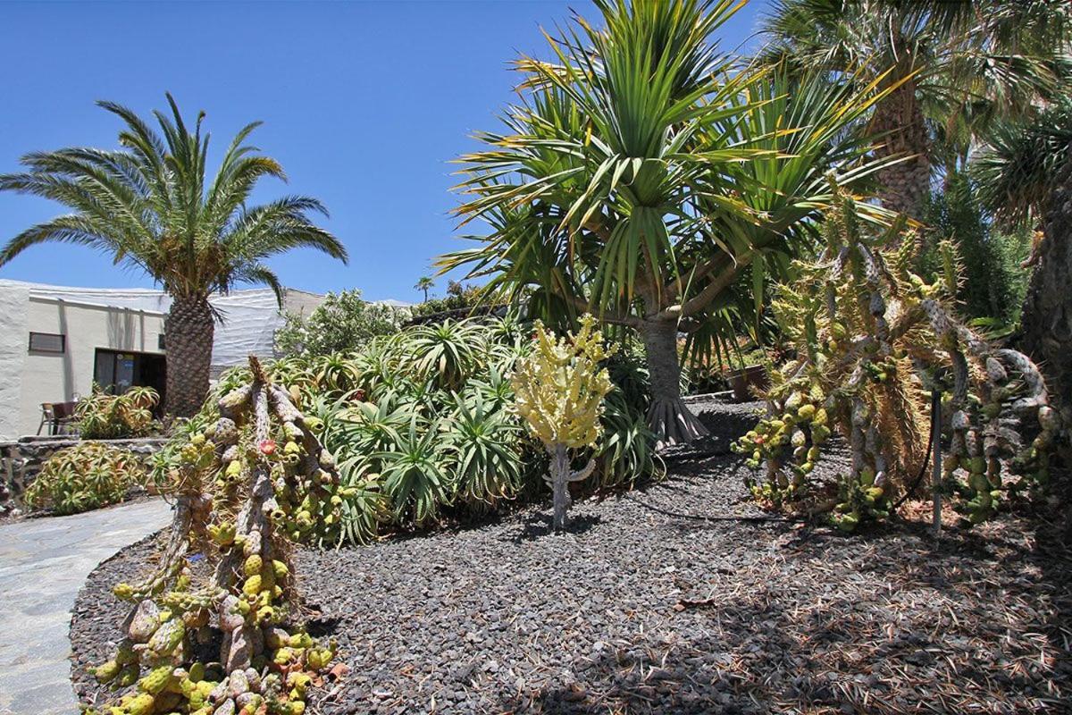 Bungalow Moijama El Drago Los Llanos De Aridane Exterior foto